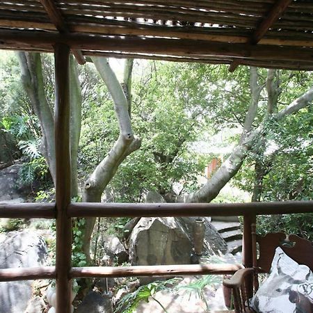 Little Forest Guest House جوهانسبورغ المظهر الخارجي الصورة