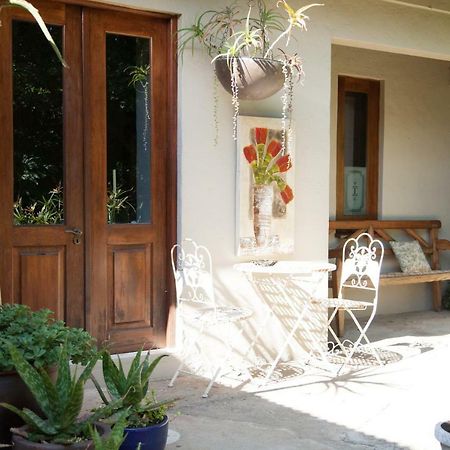 Little Forest Guest House جوهانسبورغ المظهر الخارجي الصورة