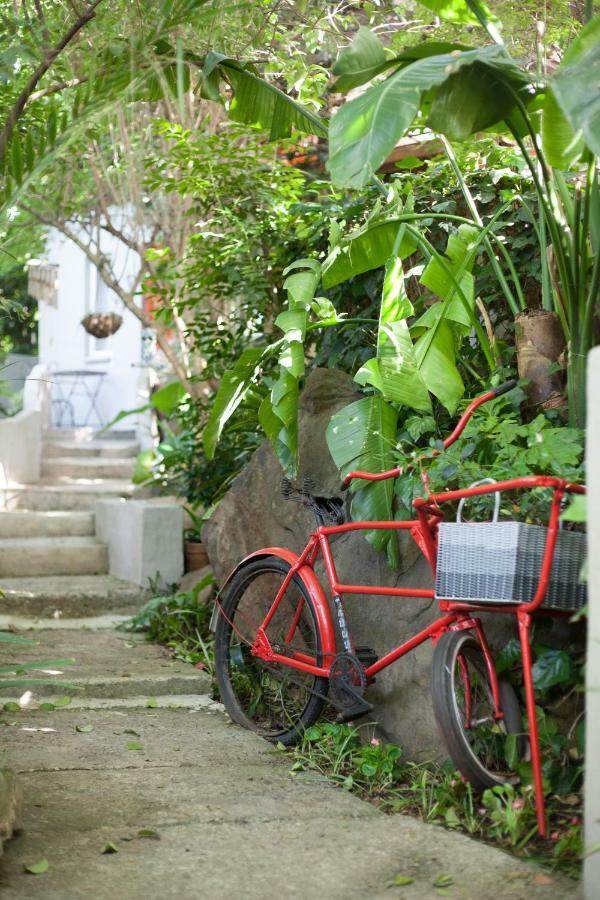 Little Forest Guest House جوهانسبورغ المظهر الخارجي الصورة